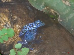 Tiergarten Schönbrunn am 23.03.2023